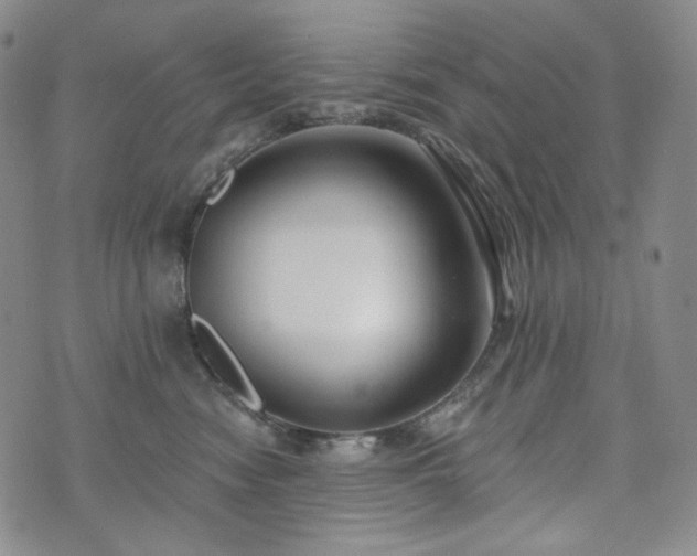 X0000071960474200607141439