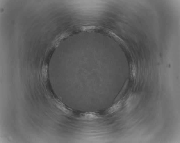 X0000071960475200607141439