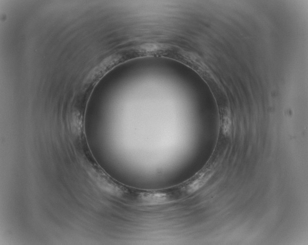 X0000071960476200607141439