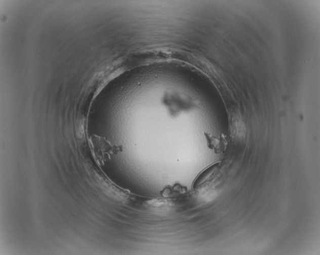 X0000071960477200607141439