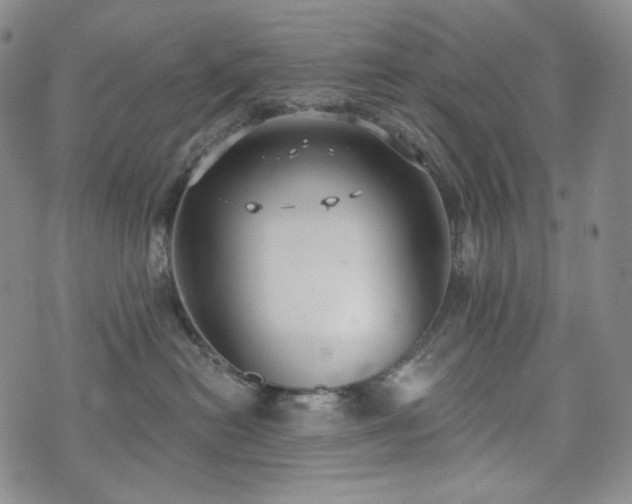 X0000071960478200607141439