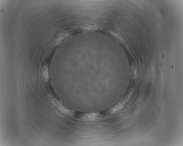 X0000071960479200607141439