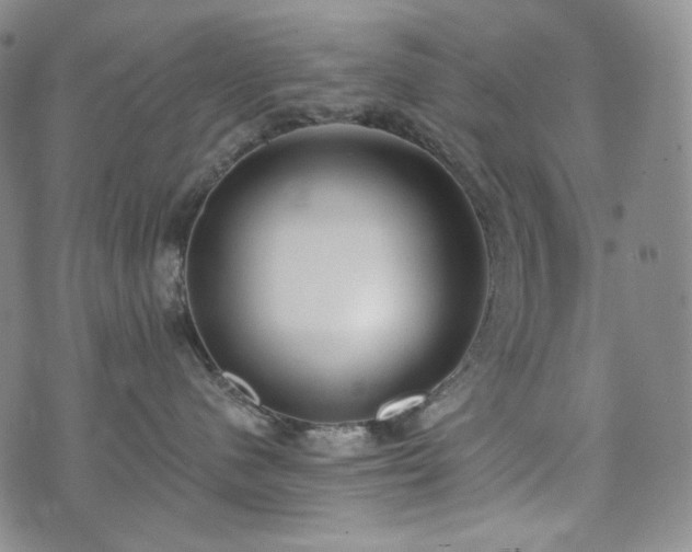 X0000071960480200607141439