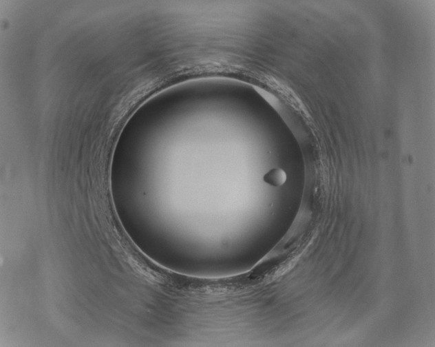 X0000071960481200607141438