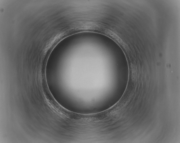 X0000071960482200607141438