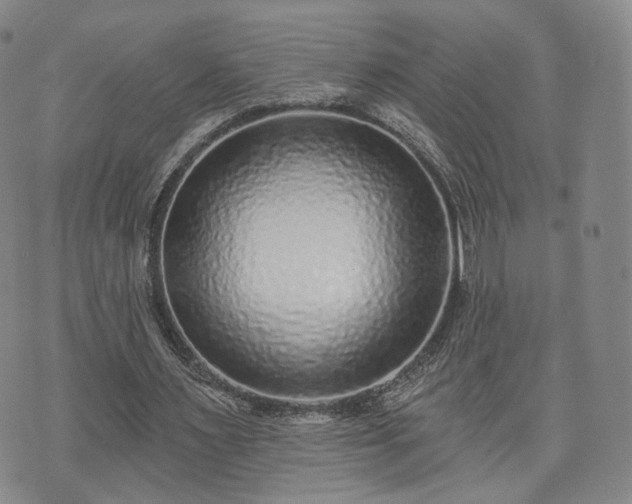 X0000071960483200607141438