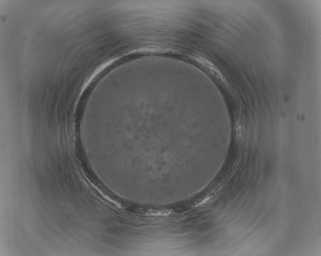 X0000071960484200607141438