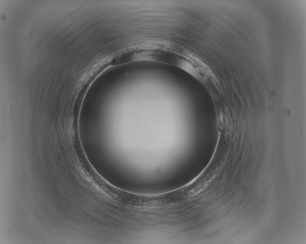 X0000071960485200607141438