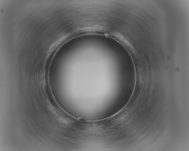 X0000071960486200607141438