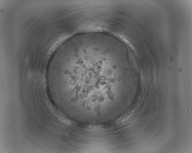 X0000071960487200607141438