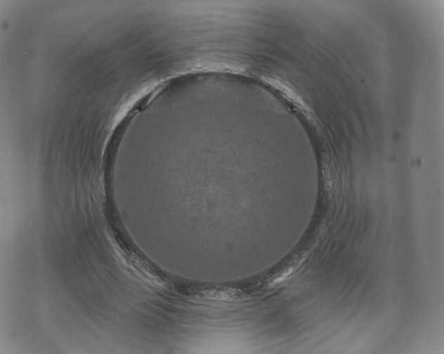 X0000071960488200607141438