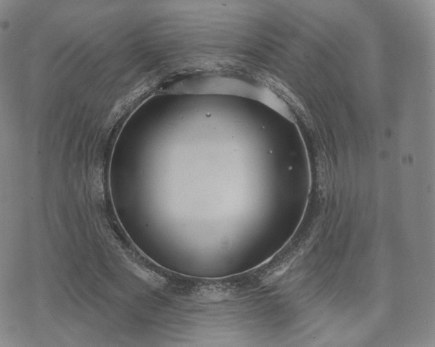 X0000071960489200607141438