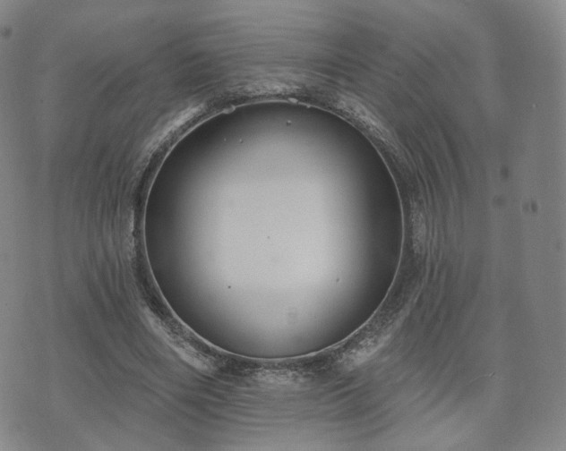 X0000071960490200607141438