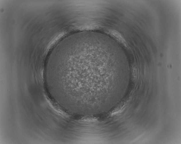 X0000071960491200607141438