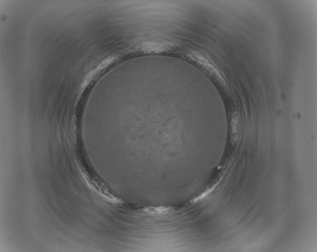 X0000071960492200607141438