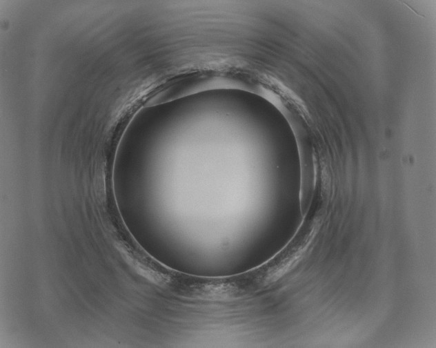 X0000071960493200607141438