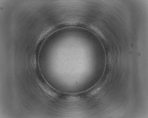 X0000071960494200607141438