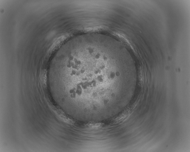 X0000071960495200607141438