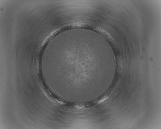 X0000071960496200607141438