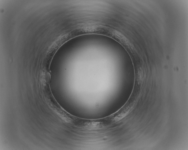 X0000071960497200607141438