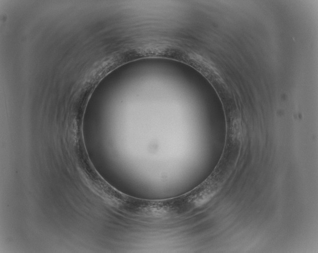 X0000071960498200607141438