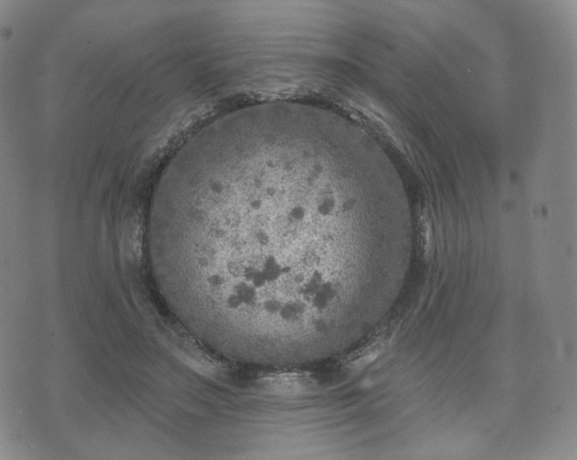 X0000071960499200607141438