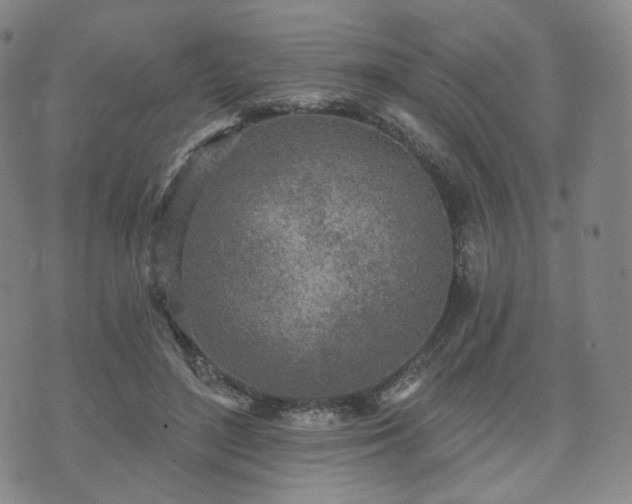 X0000071960500200607141438