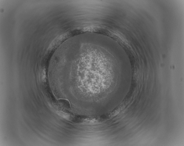 X0000071960502200607141438