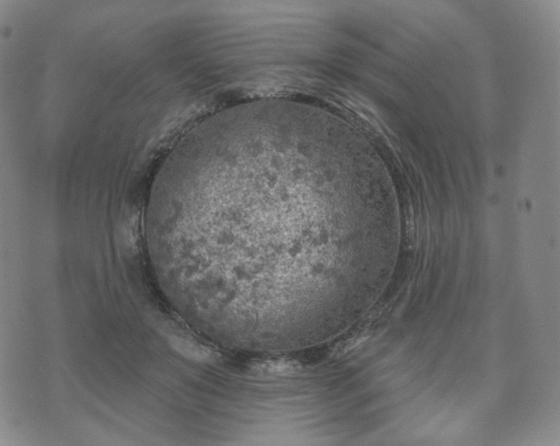 X0000071960503200607141438