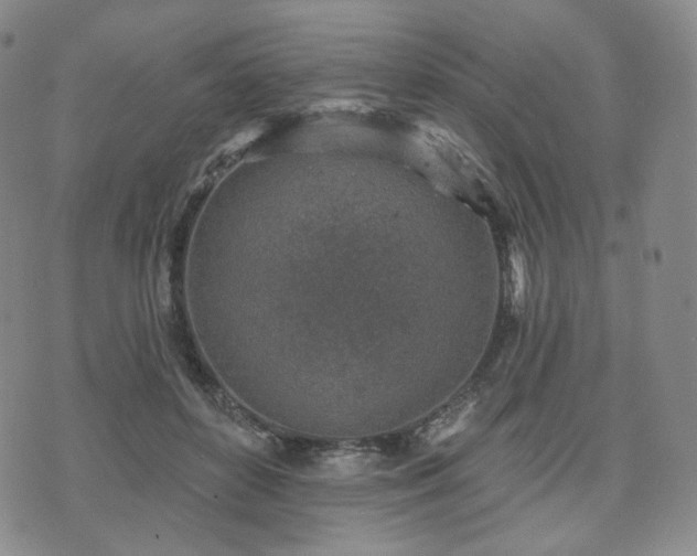 X0000071960504200607141438