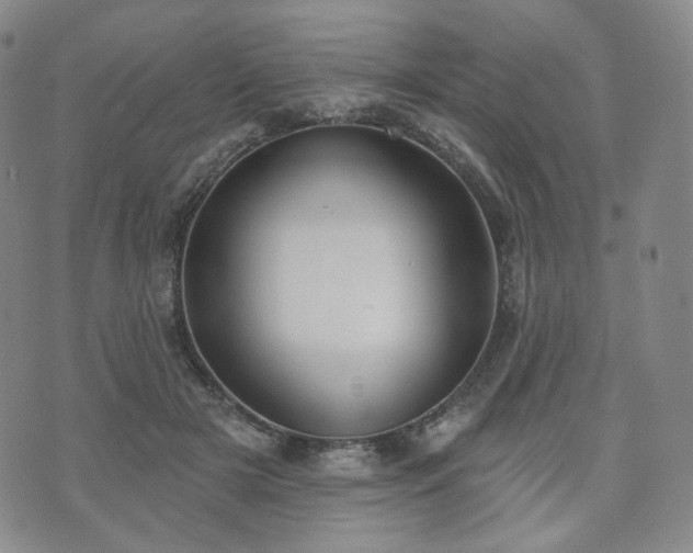 X0000071960505200607141438