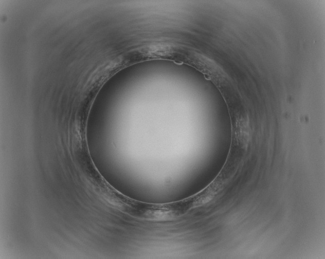 X0000071960506200607141438