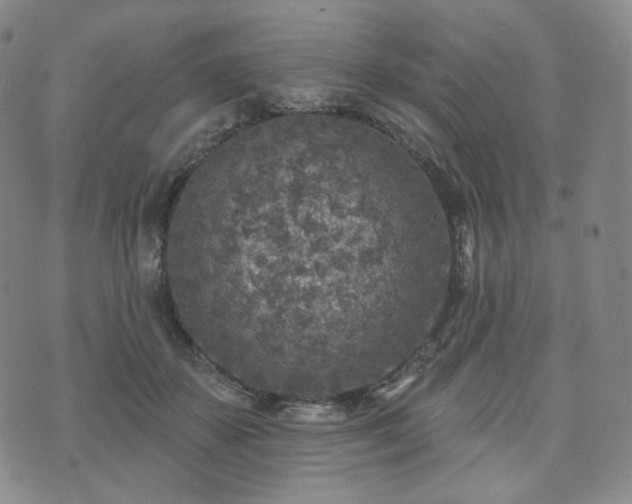 X0000071960507200607141438