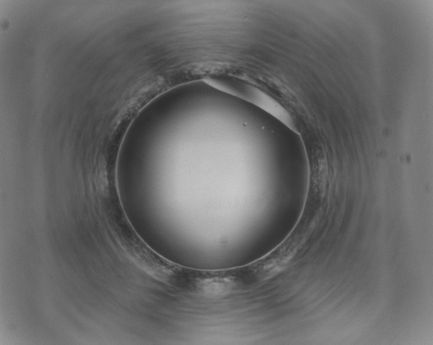 X0000071960508200607141438