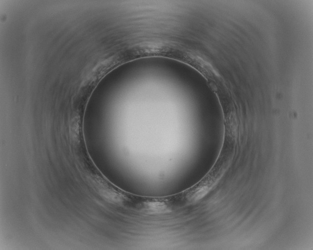 X0000071960509200607141438