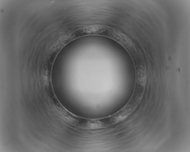 X0000071960510200607141438