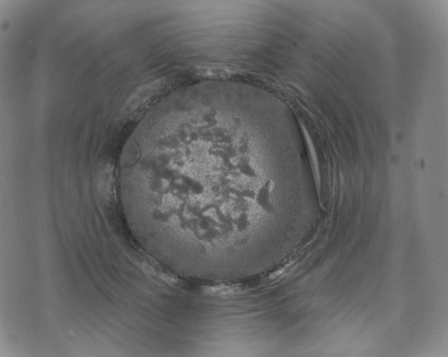 X0000071960511200607141438