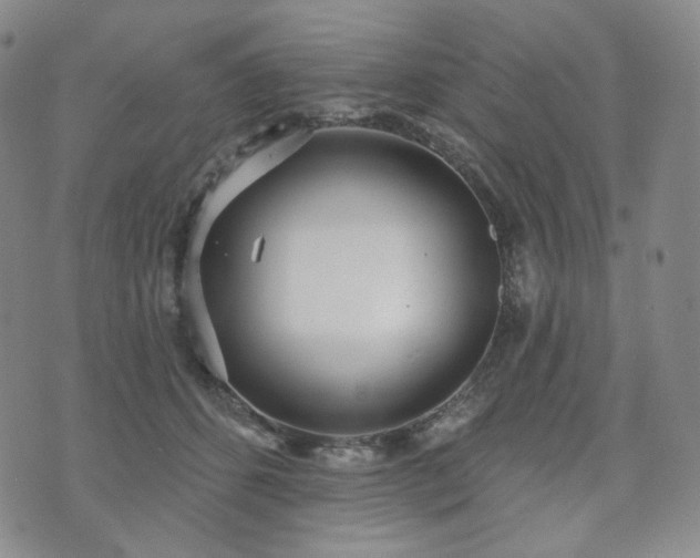 X0000071960512200607141438