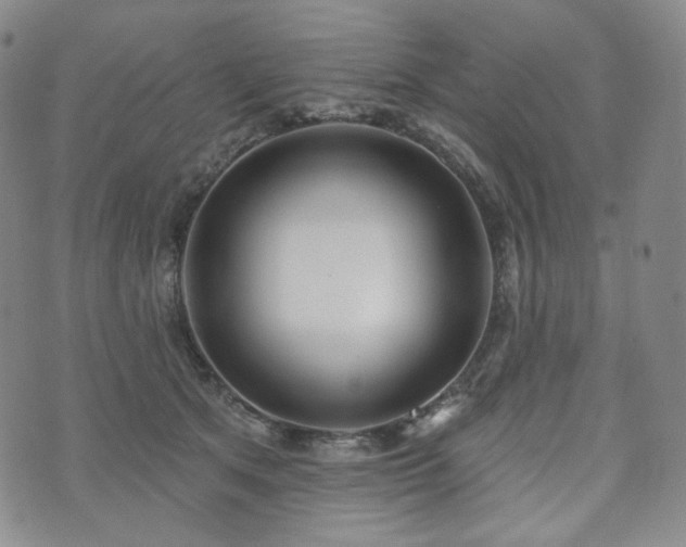 X0000071960513200607141438