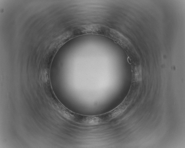 X0000071960514200607141438