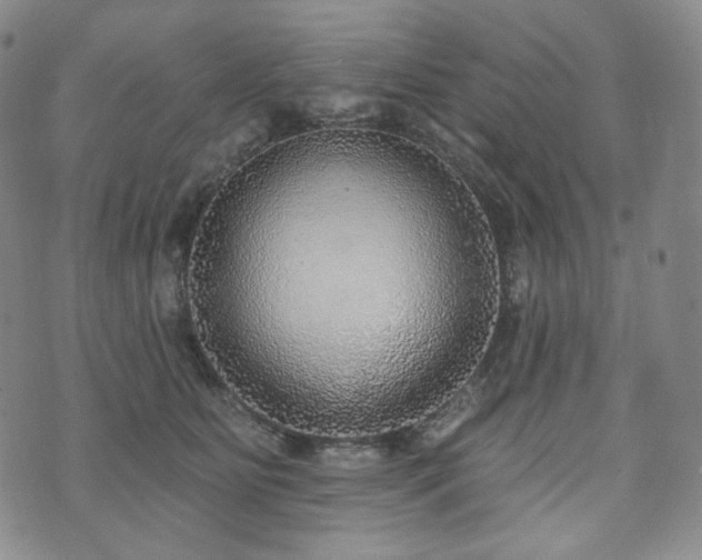 X0000071960515200607141438