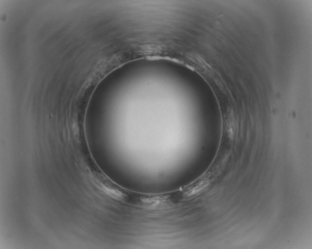 X0000071960516200607141438