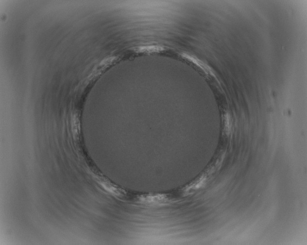 X0000071960517200607141438