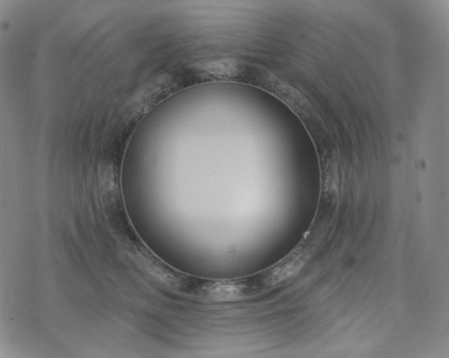 X0000071960518200607141438