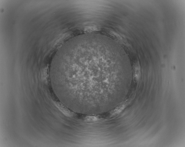 X0000071960519200607141437