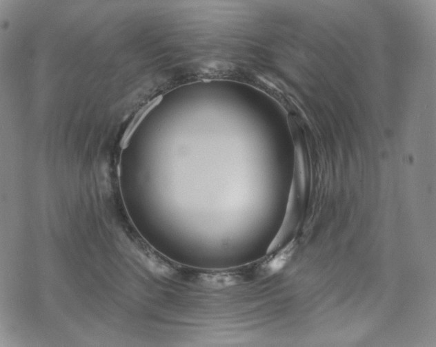 X0000071960520200607141437