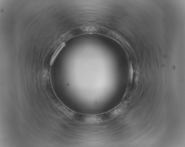 X0000071960521200607141437