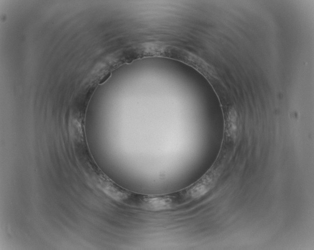 X0000071960522200607141437