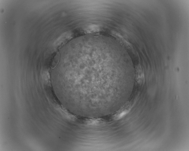 X0000071960523200607141437