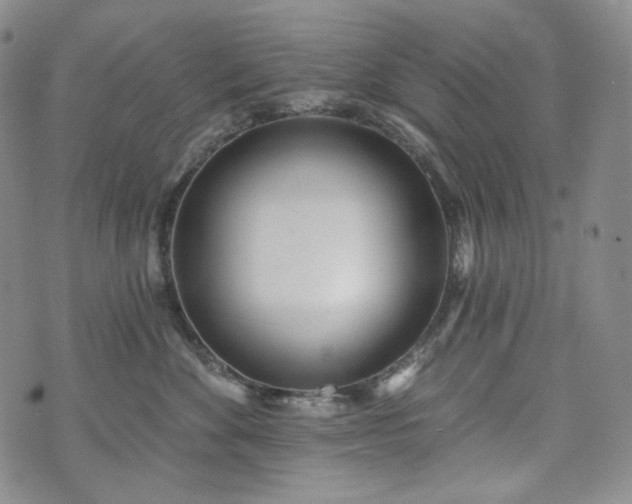 X0000071960524200607141437